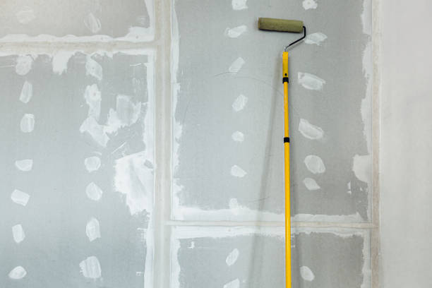 Biohazard Mold Removal in Eastland, TX