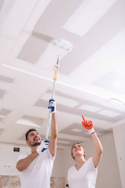 Eastland, TX Mold Removal Company