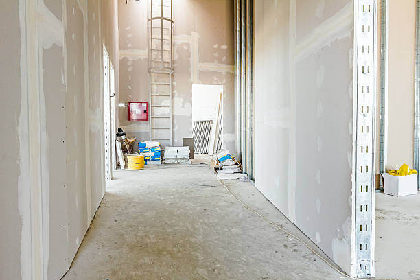 Best Mold Odor Removal Services  in Eastland, TX