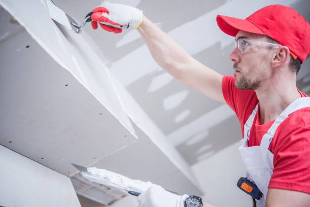 Best Post-Construction Mold Inspection  in Eastland, TX